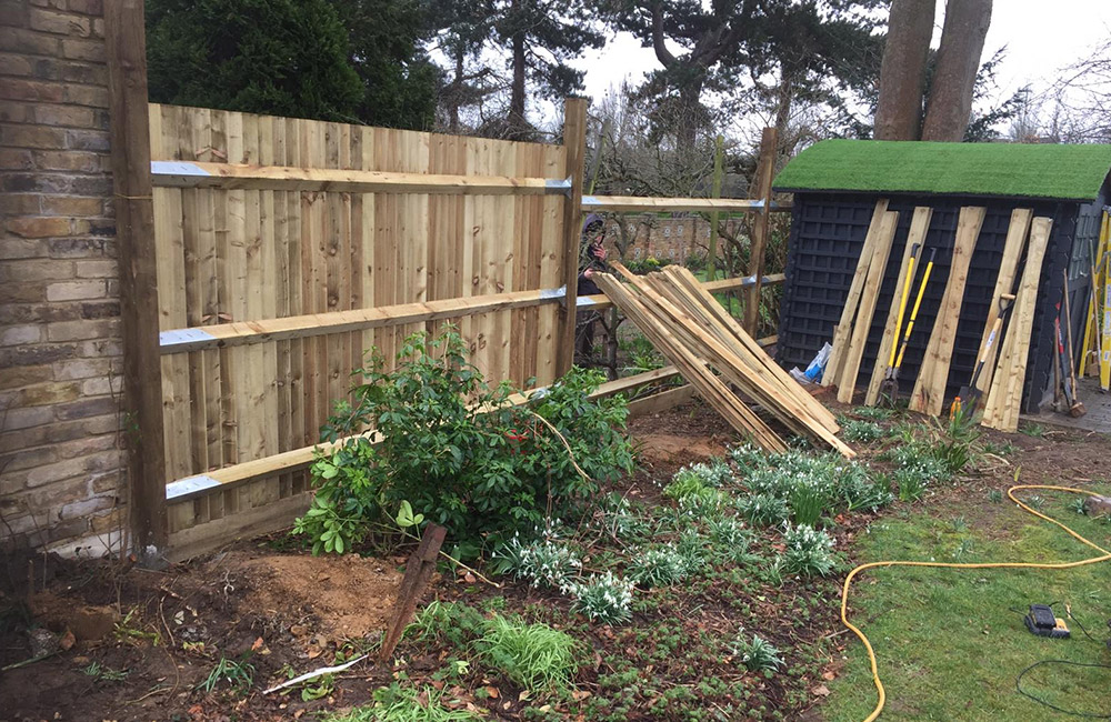 Replacement Fencing and repair